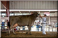 LCFAIR-081518-3195.jpg