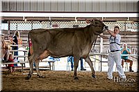 LCFAIR-081518-3196.jpg