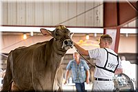 LCFAIR-081518-3197.jpg