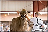 LCFAIR-081518-3198.jpg