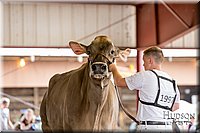 LCFAIR-081518-3199.jpg
