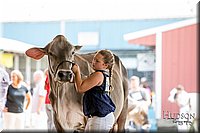 LCFAIR-081518-3202.jpg