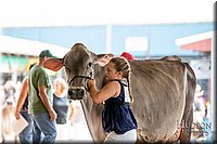 LCFAIR-081518-3203.jpg