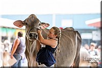 LCFAIR-081518-3206.jpg