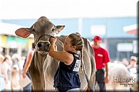 LCFAIR-081518-3207.jpg