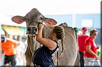 LCFAIR-081518-3208.jpg