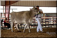 LCFAIR-081518-3211.jpg