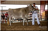 LCFAIR-081518-3212.jpg
