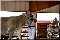 LCFAIR-081518-3213.jpg