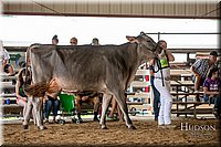 LCFAIR-081518-3214.jpg