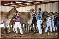 LCFAIR-081518-3220.jpg
