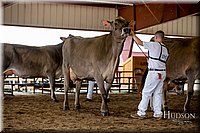LCFAIR-081518-3221.jpg