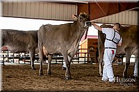 LCFAIR-081518-3222.jpg