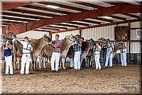 LCFAIR-081518-3228.jpg