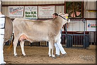 LCFAIR-081518-3229.jpg