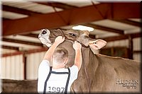 LCFAIR-081518-3230.jpg