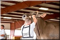 LCFAIR-081518-3231.jpg