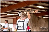 LCFAIR-081518-3232.jpg