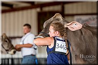 LCFAIR-081518-3239.jpg