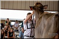 LCFAIR-081518-3240.jpg