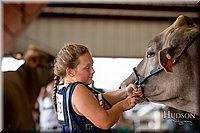 LCFAIR-081518-3241.jpg