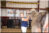 LCFAIR-081518-3243.jpg