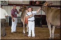LCFAIR-081518-3245.jpg