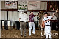 LCFAIR-081518-3246.jpg