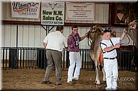 LCFAIR-081518-3247.jpg