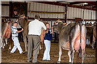 LCFAIR-081518-3250.jpg