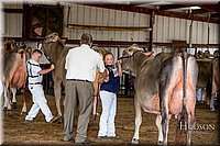 LCFAIR-081518-3251.jpg