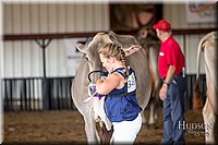 LCFAIR-081518-3255.jpg