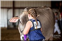 LCFAIR-081518-3258.jpg