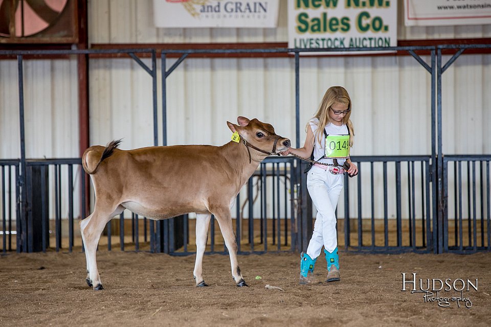 LCFAIR-081518-3424.jpg