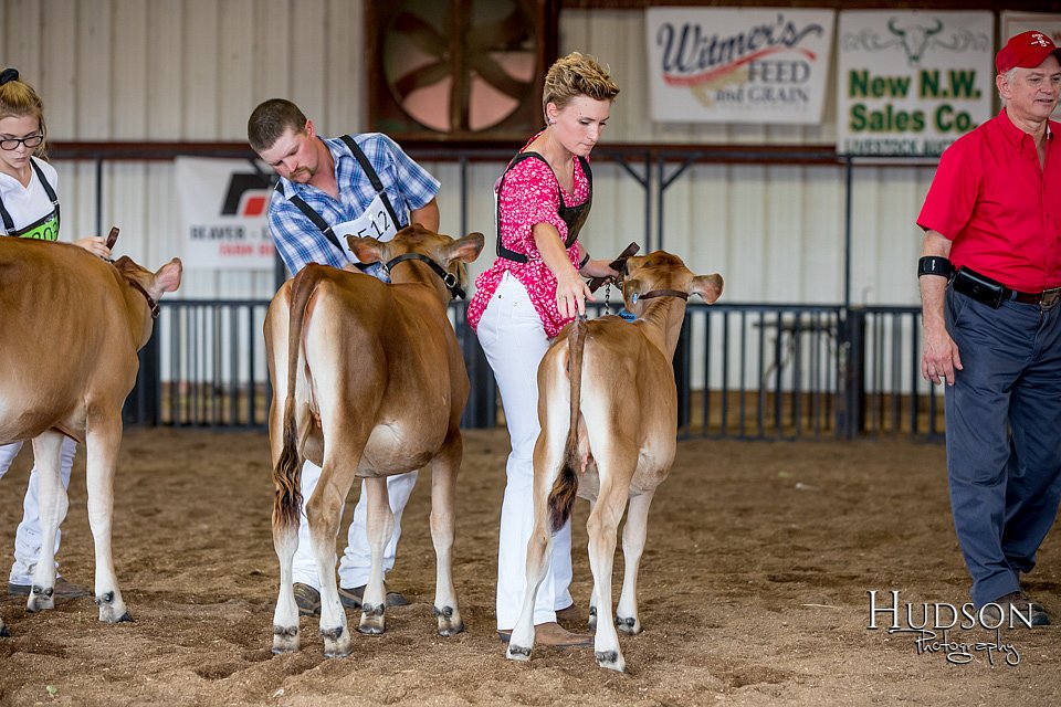 LCFAIR-081518-3454.jpg