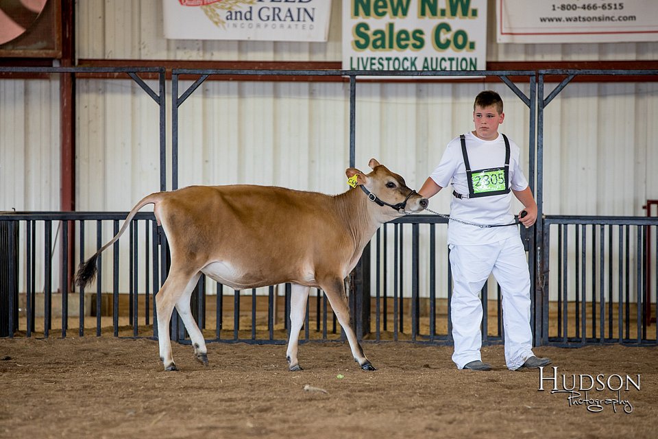LCFAIR-081518-3488.jpg