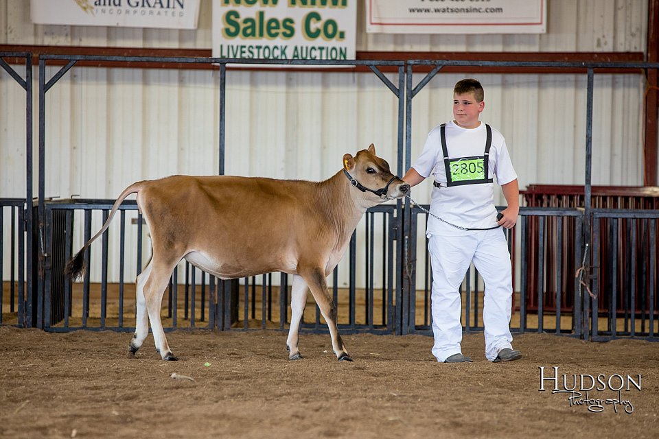 LCFAIR-081518-3489.jpg