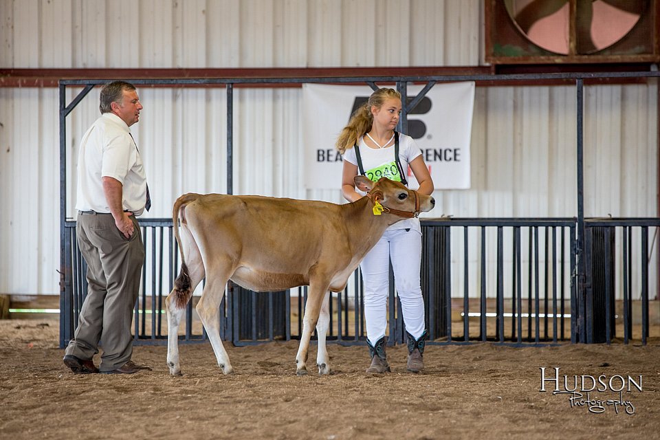 LCFAIR-081518-3493.jpg