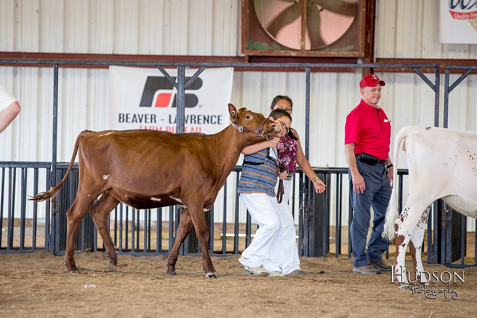 LCFAIR-081518-3510.jpg