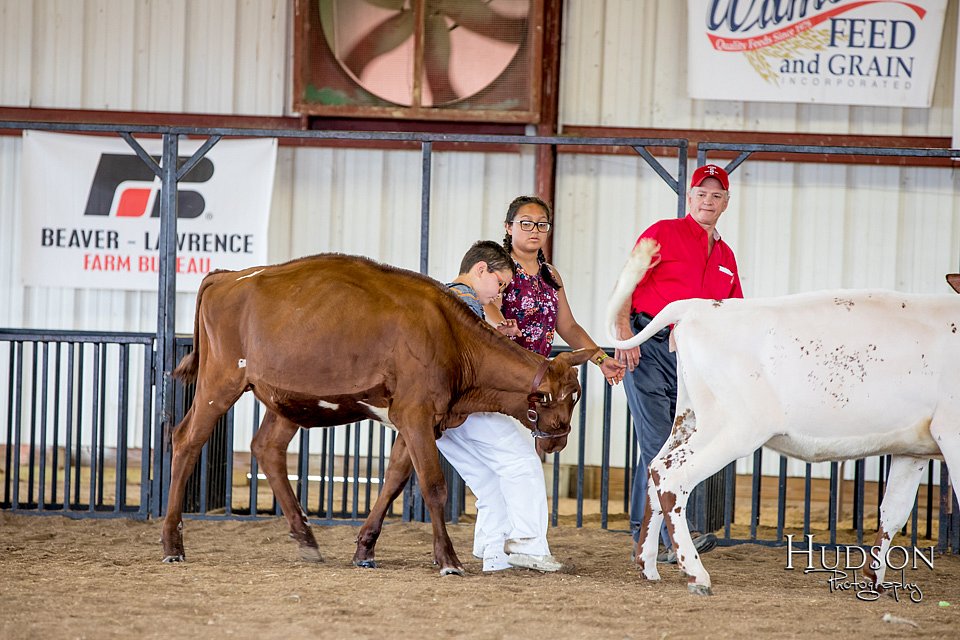 LCFAIR-081518-3511.jpg