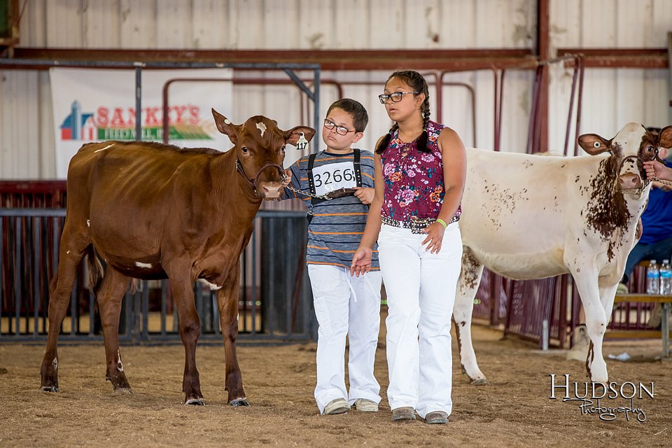 LCFAIR-081518-3519.jpg