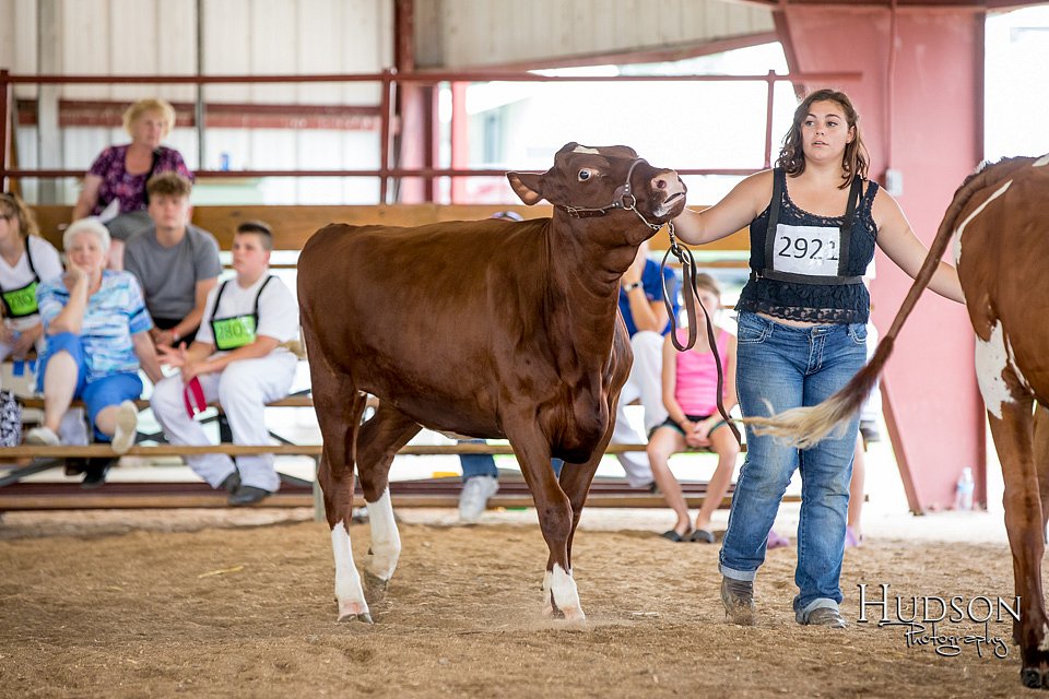 LCFAIR-081518-3542.jpg