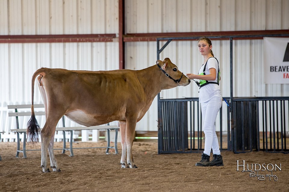 LCFAIR-081518-3545.jpg
