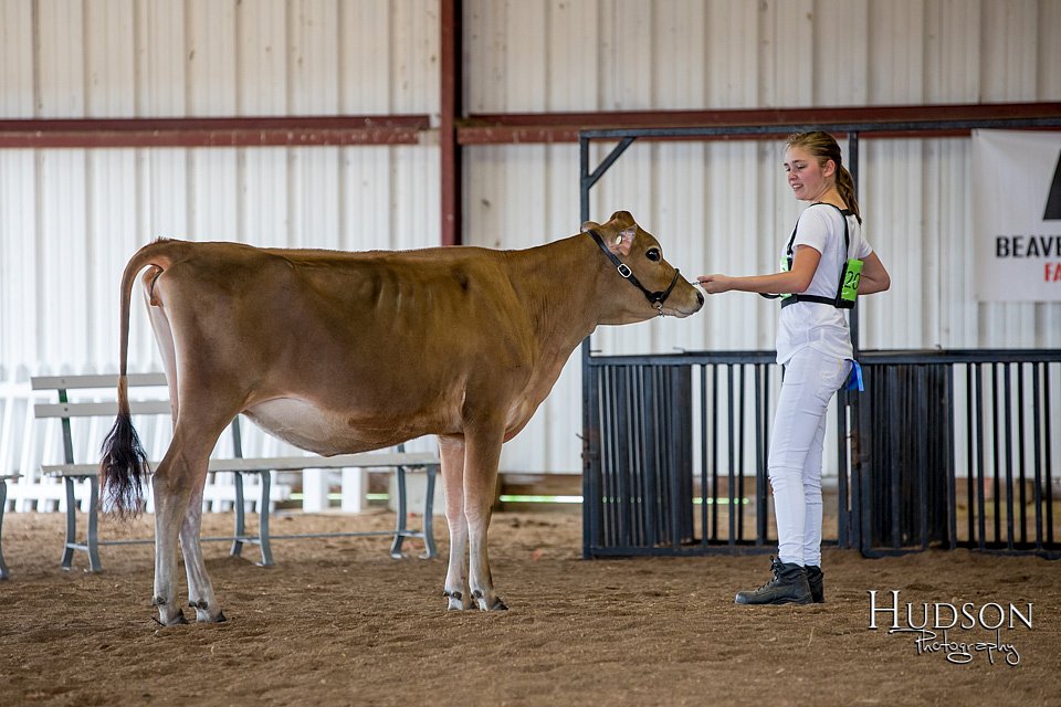 LCFAIR-081518-3546.jpg