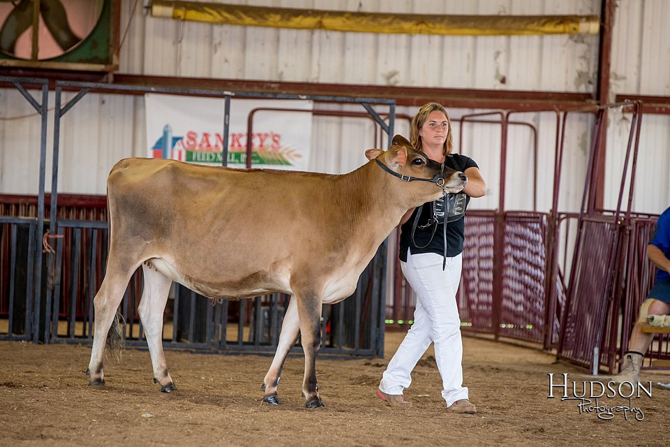 LCFAIR-081518-3548.jpg