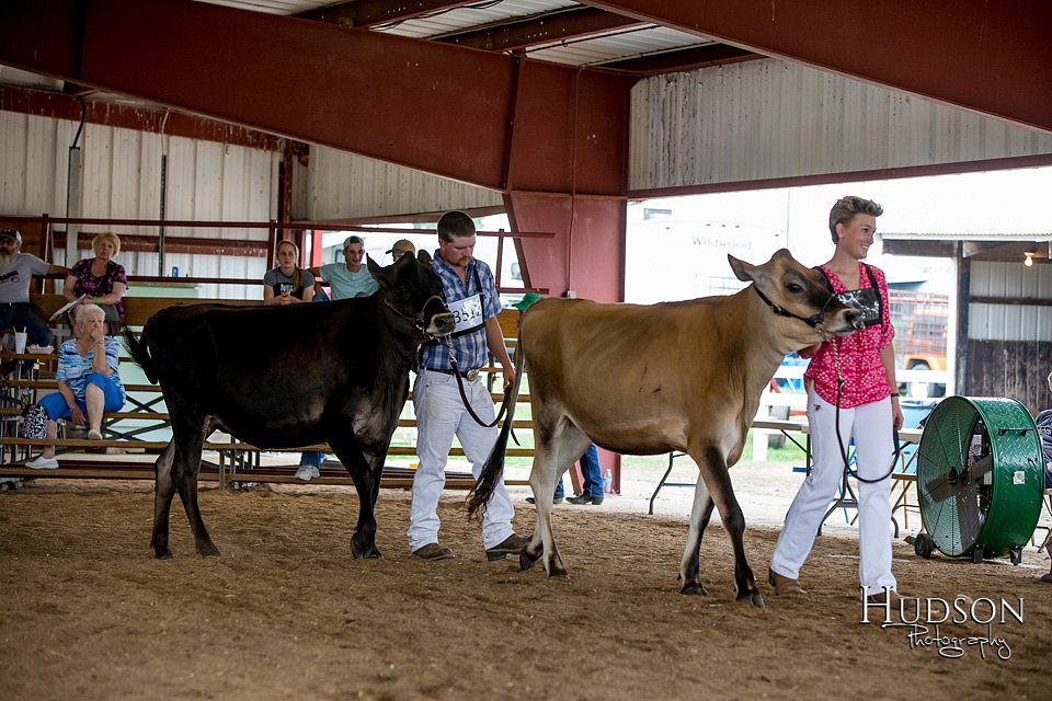 LCFAIR-081518-3563.jpg