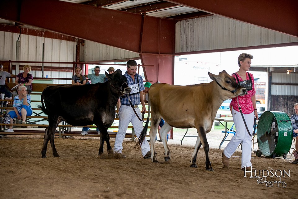 LCFAIR-081518-3564.jpg