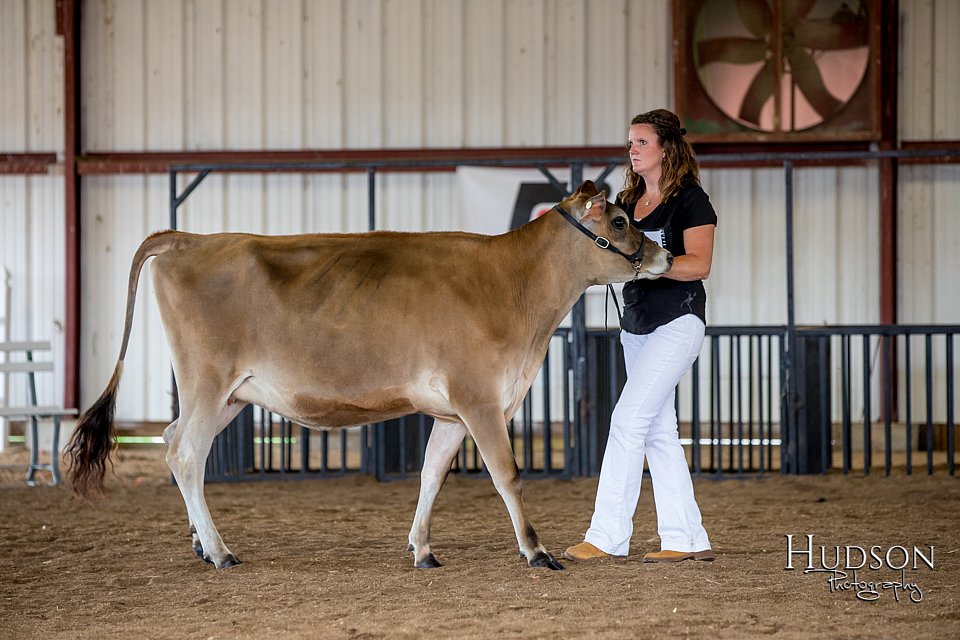 LCFAIR-081518-3566.jpg