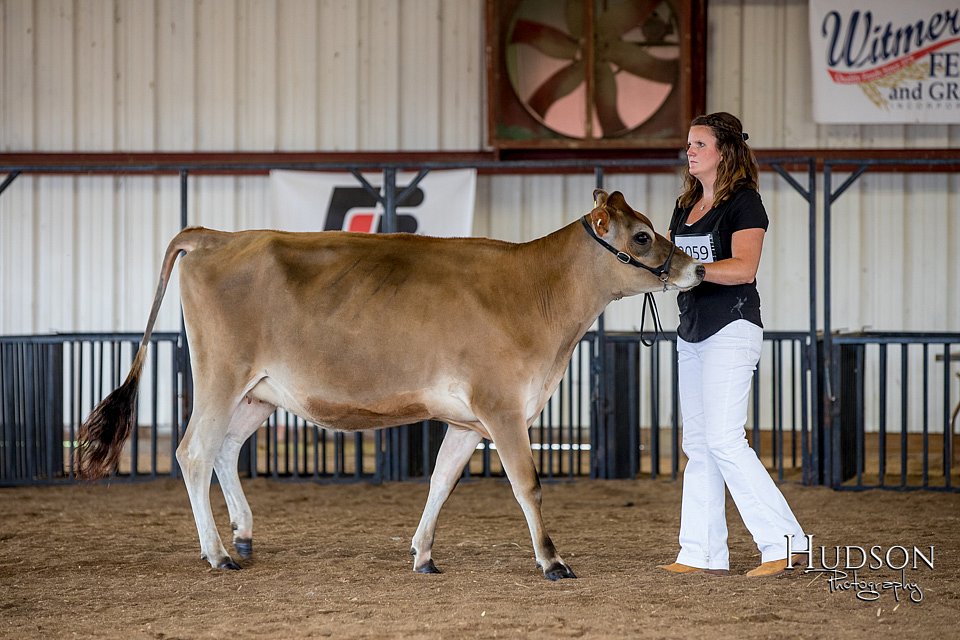 LCFAIR-081518-3567.jpg