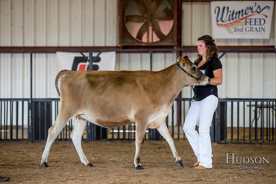 LCFAIR-081518-3569.jpg